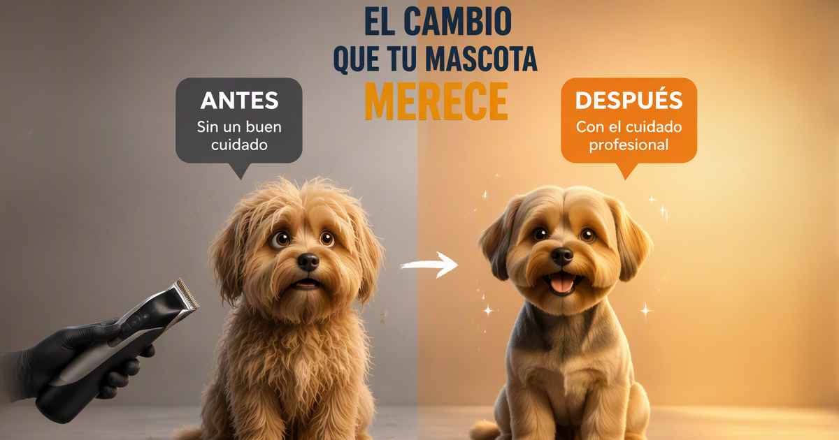 Higiene y bienestar del pelo del perro según la Ley 7/2023