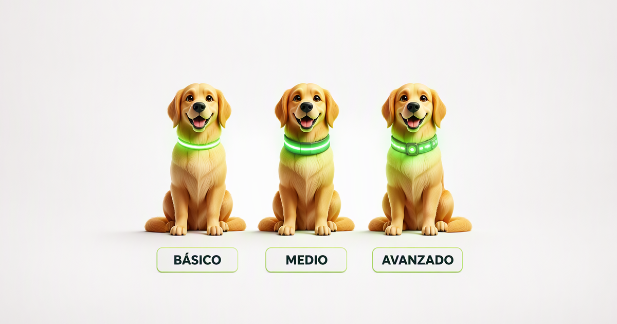 Comparativa de luces LED para collares de perros
