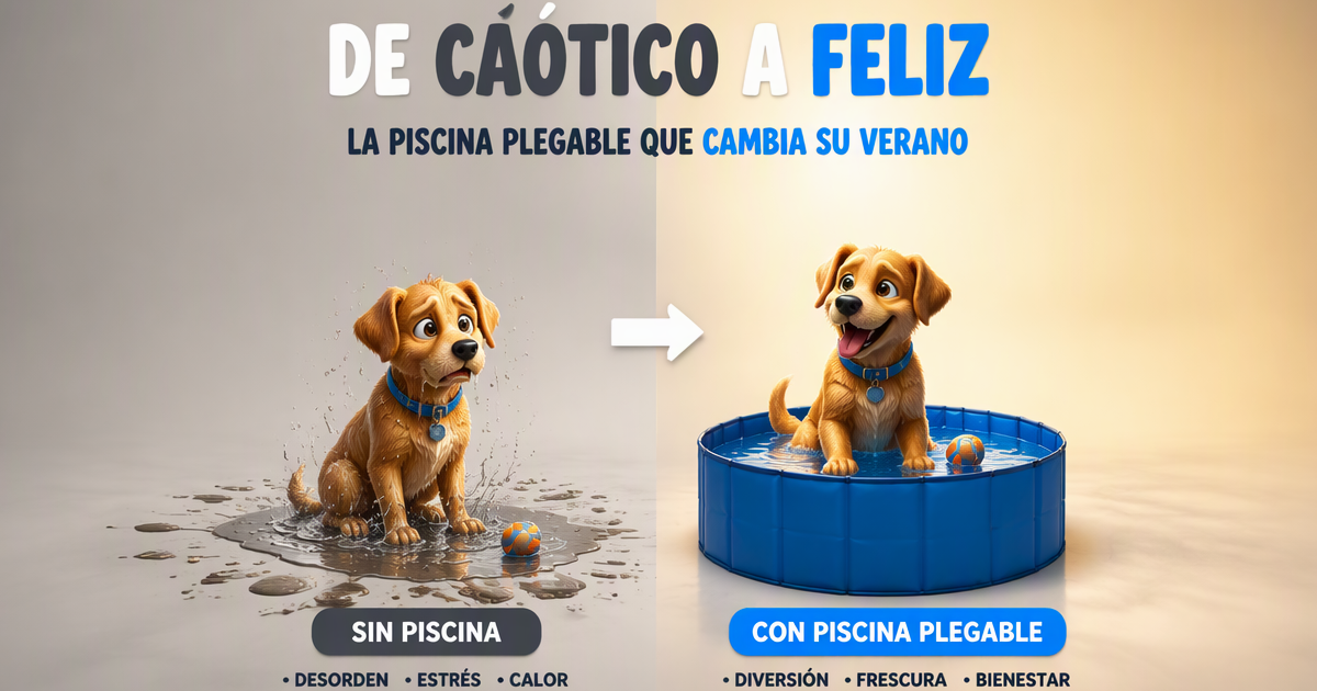 Bienestar del perro en verano, agua fresca y termorregulación según la Ley 7/2023