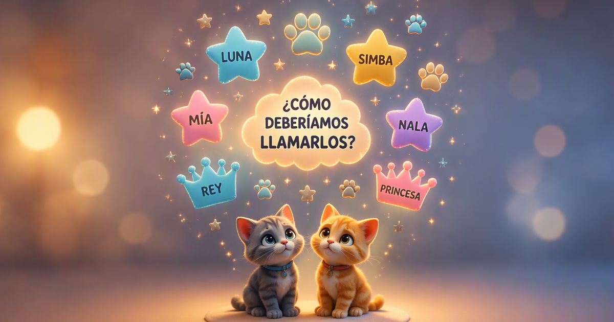 Identificación con microchip del gato: Ley 7/2023