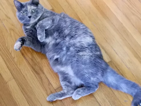 Foto de Oliver